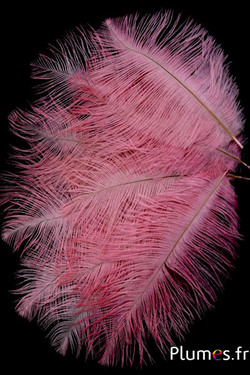 Autruche - 13-18 cm - rose tendre